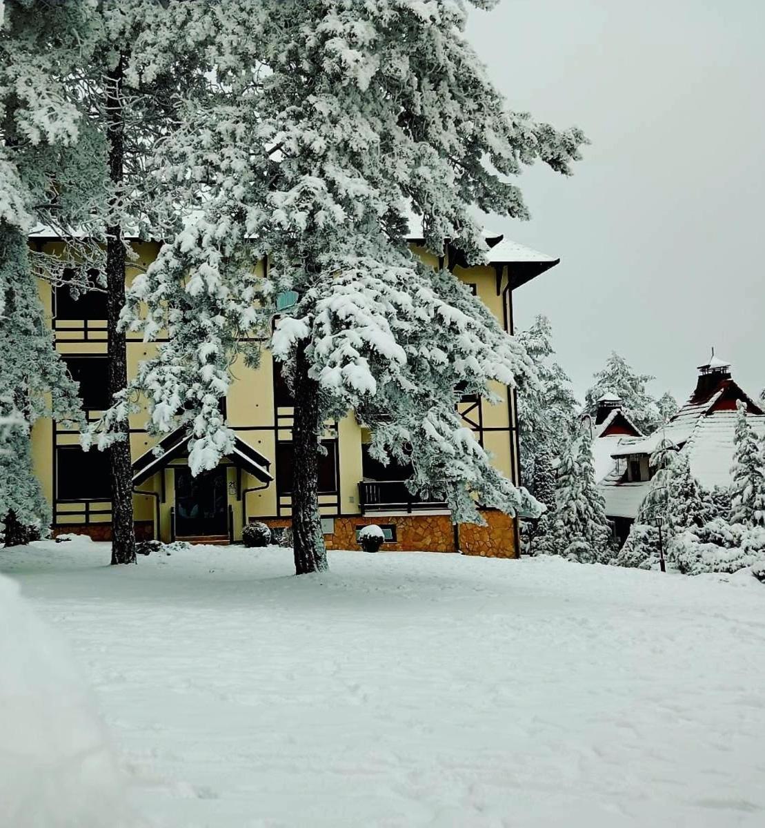 Matija Lux Konaci Apartamento Zlatibor Exterior foto